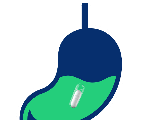 Stage 1: Capsule in the stomach